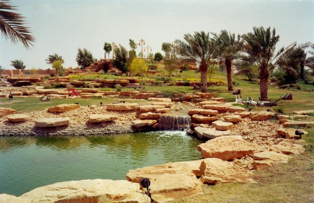 Gallery Image 11